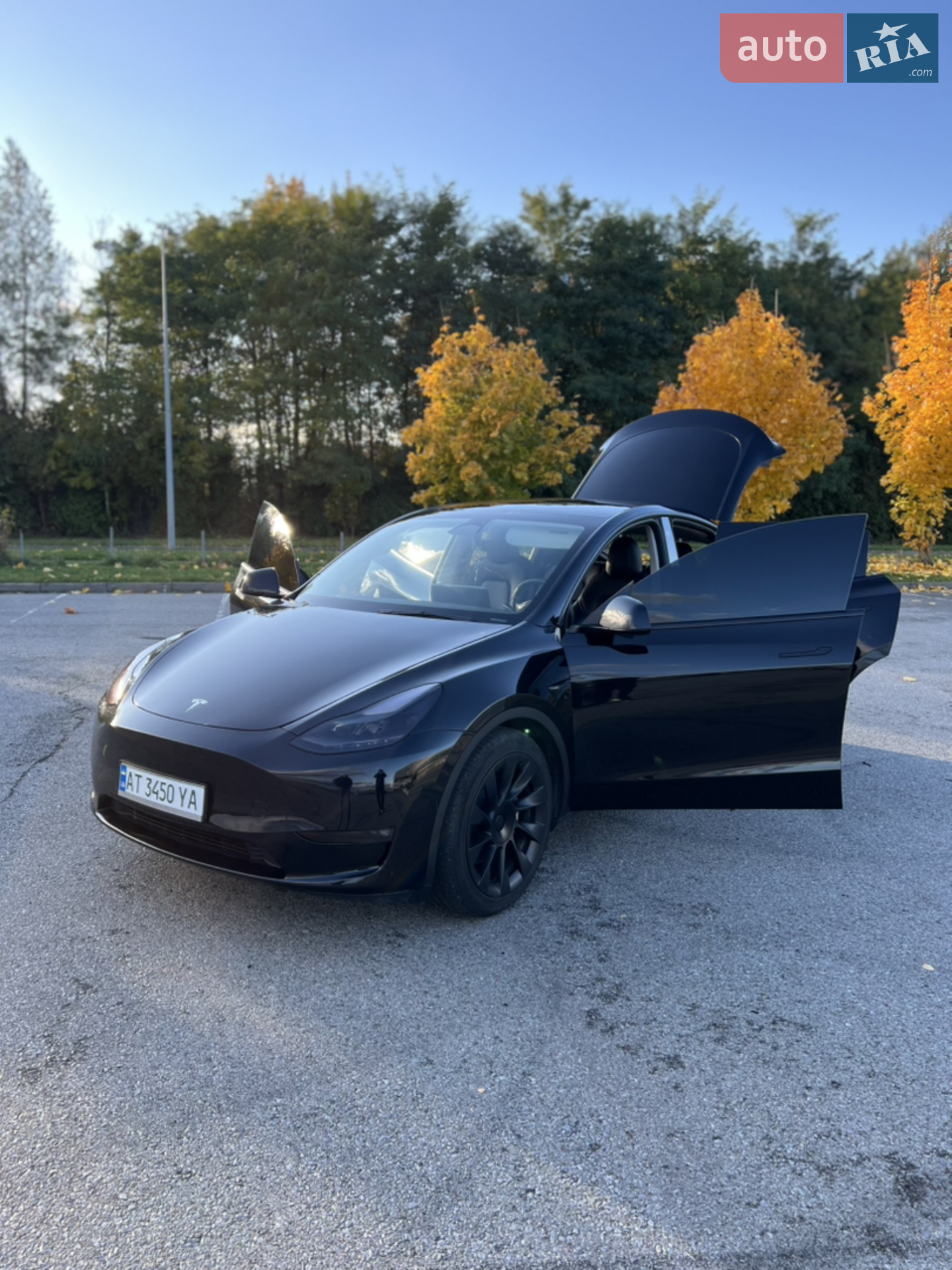 2023 Tesla Model Y - мініатюра 43