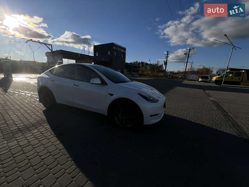 Позашляховик / Кросовер Tesla Model Y 2024 в Жовкві фото 11 Позашляховик / Кросовер Tesla Model Y 2024 в Жовкві