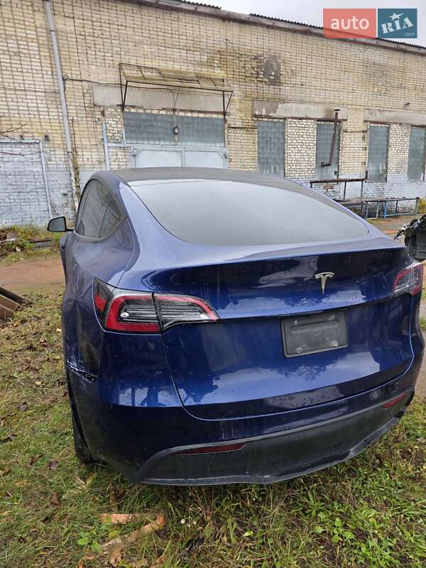 Внедорожник / Кроссовер Tesla Model Y 2024 в Коростене фото 2 Внедорожник / Кроссовер Tesla Model Y 2024 в Коростене