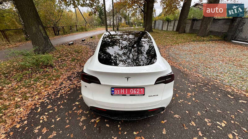 Внедорожник / Кроссовер Tesla Model Y 2020 в Житомире