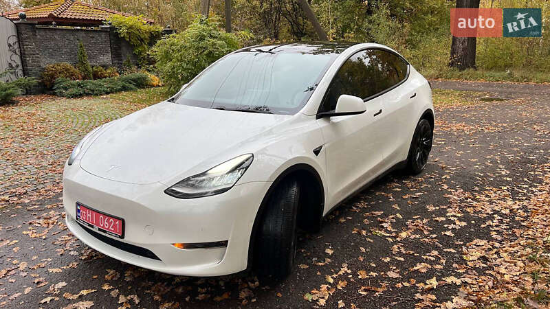 Внедорожник / Кроссовер Tesla Model Y 2020 в Житомире