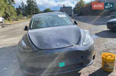 Внедорожник / Кроссовер Tesla Model Y 2024 в Чернигове