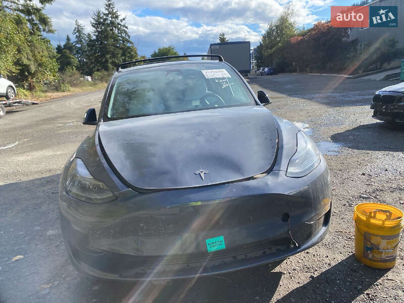 Внедорожник / Кроссовер Tesla Model Y 2024 в Чернигове фото Внедорожник / Кроссовер Tesla Model Y 2024 в Чернигове