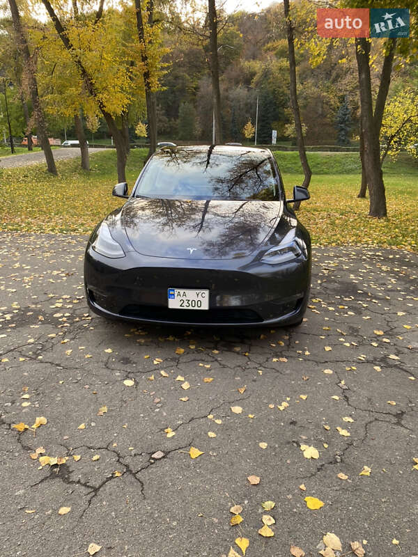 Позашляховик / Кросовер Tesla Model Y 2024 в Києві