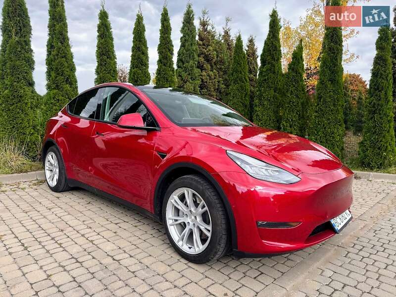 Позашляховик / Кросовер Tesla Model Y 2021 в Львові фото 4 Позашляховик / Кросовер Tesla Model Y 2021 в Львові