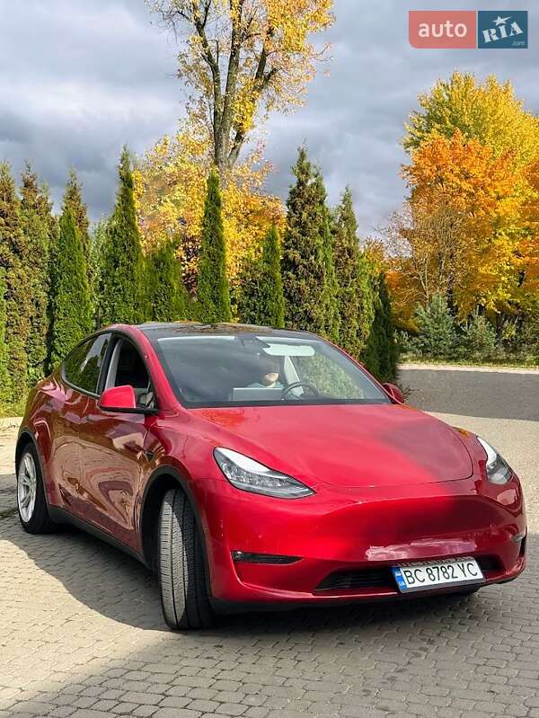 Позашляховик / Кросовер Tesla Model Y 2021 в Львові фото 9 Позашляховик / Кросовер Tesla Model Y 2021 в Львові