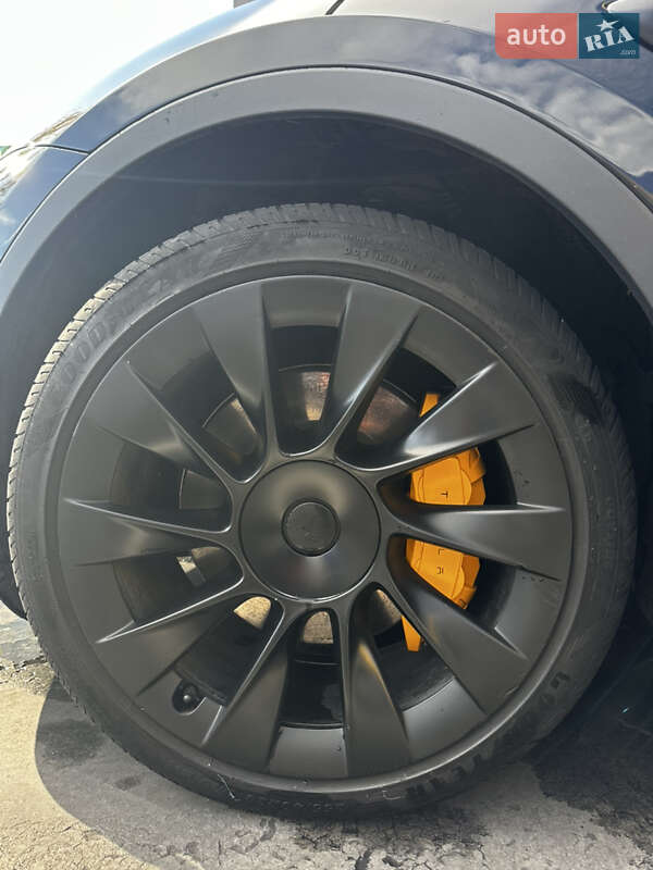 Внедорожник / Кроссовер Tesla Model Y 2020 в Днепре