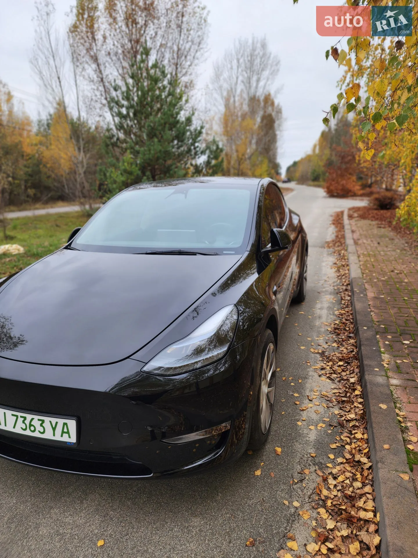 2022 Tesla Model Y - фото 1