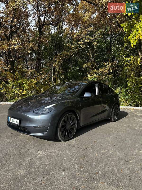 Внедорожник / Кроссовер Tesla Model Y 2021 в Каменском