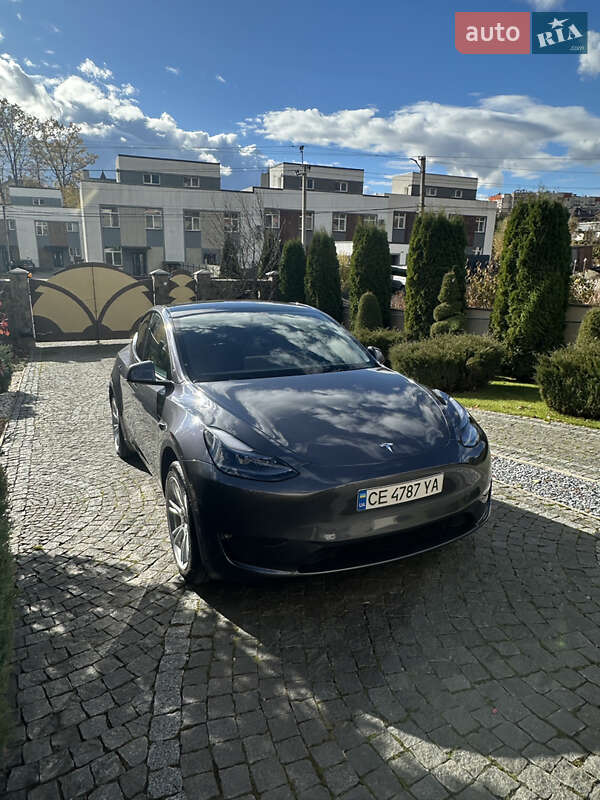 Внедорожник / Кроссовер Tesla Model Y 2023 в Черновцах