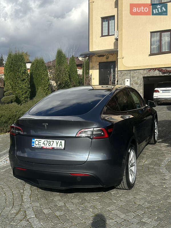 Внедорожник / Кроссовер Tesla Model Y 2023 в Черновцах