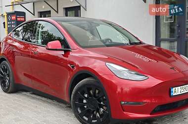 Позашляховик / Кросовер Tesla Model Y 2024 в Києві
