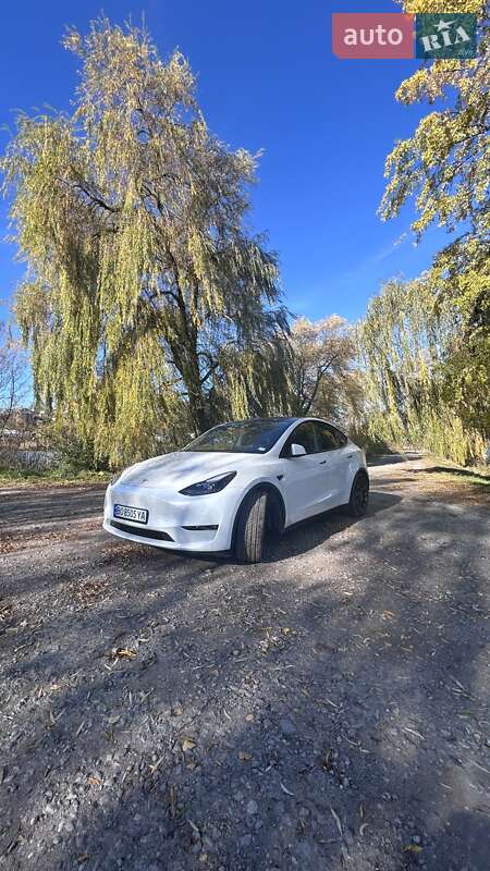 Внедорожник / Кроссовер Tesla Model Y 2022 в Бережанах