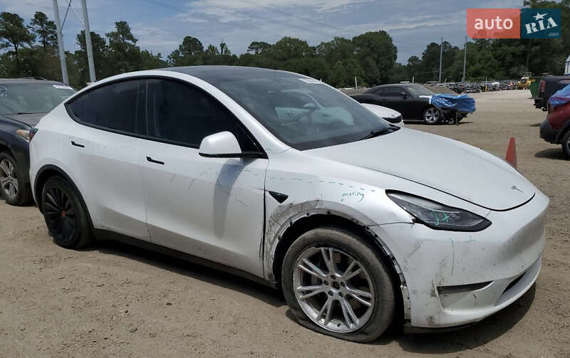 Позашляховик / Кросовер Tesla Model Y 2022 в Житомирі