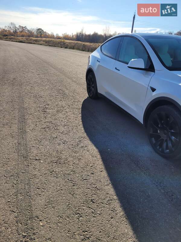 Позашляховик / Кросовер Tesla Model Y 2023 в Львові