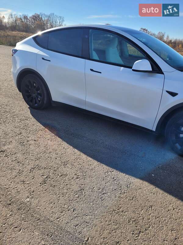 Позашляховик / Кросовер Tesla Model Y 2023 в Львові