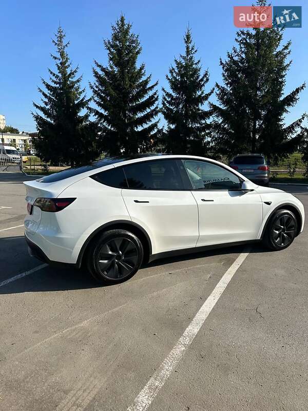 Внедорожник / Кроссовер Tesla Model Y 2024 в Черновцах