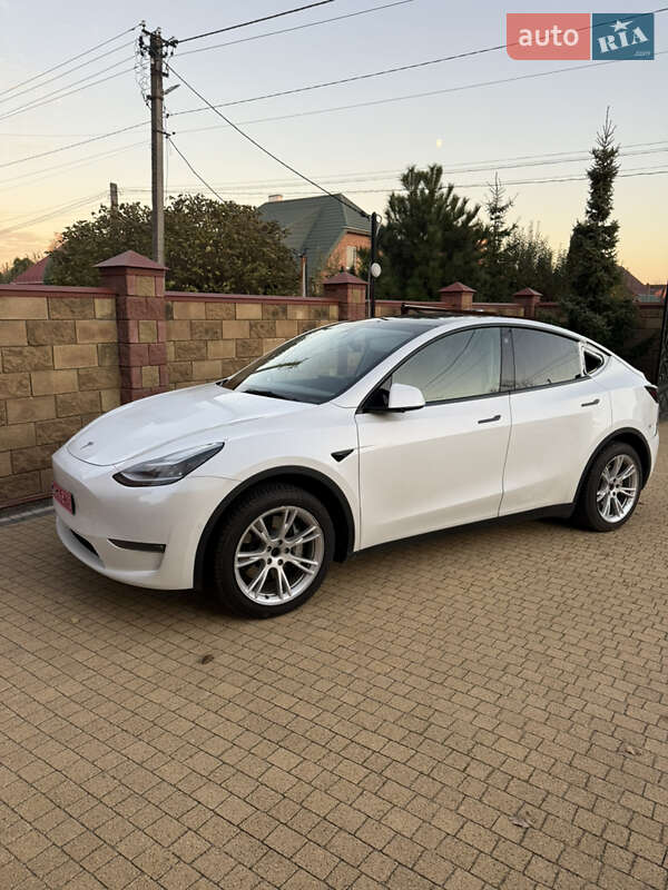 Позашляховик / Кросовер Tesla Model Y 2021 в Луцьку фото 9 Позашляховик / Кросовер Tesla Model Y 2021 в Луцьку