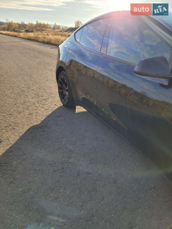 Внедорожник / Кроссовер Tesla Model Y 2023 в Львове