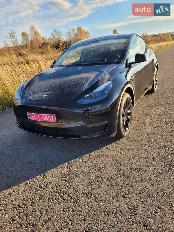 Внедорожник / Кроссовер Tesla Model Y 2023 в Львове