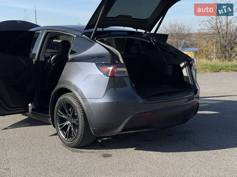 Внедорожник / Кроссовер Tesla Model Y 2021 в Шаргороде