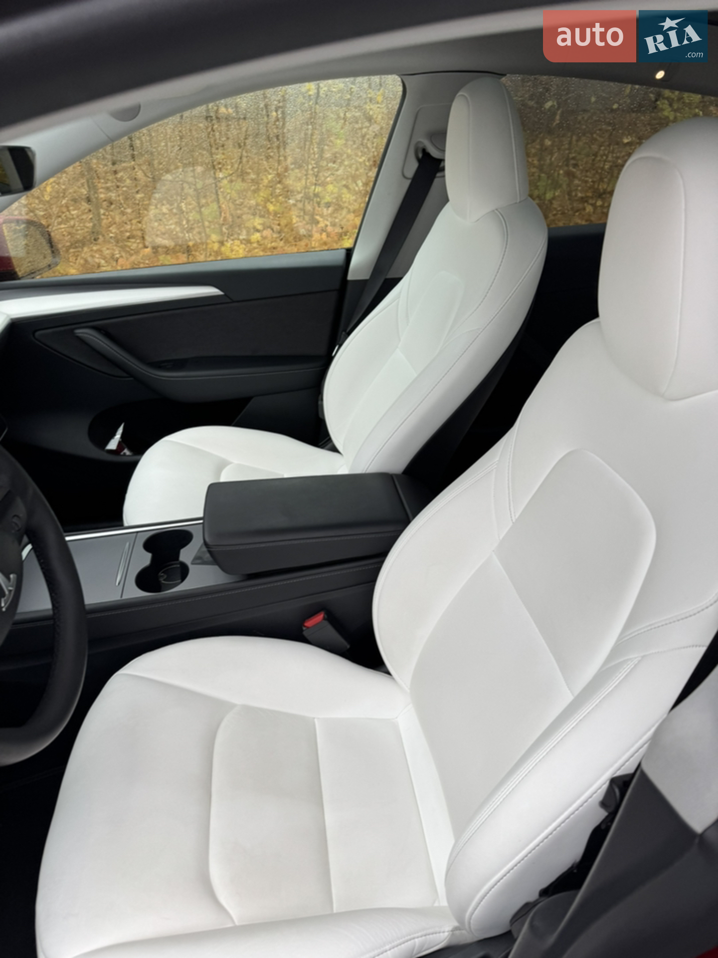 2023 Tesla Model Y - мініатюра 12