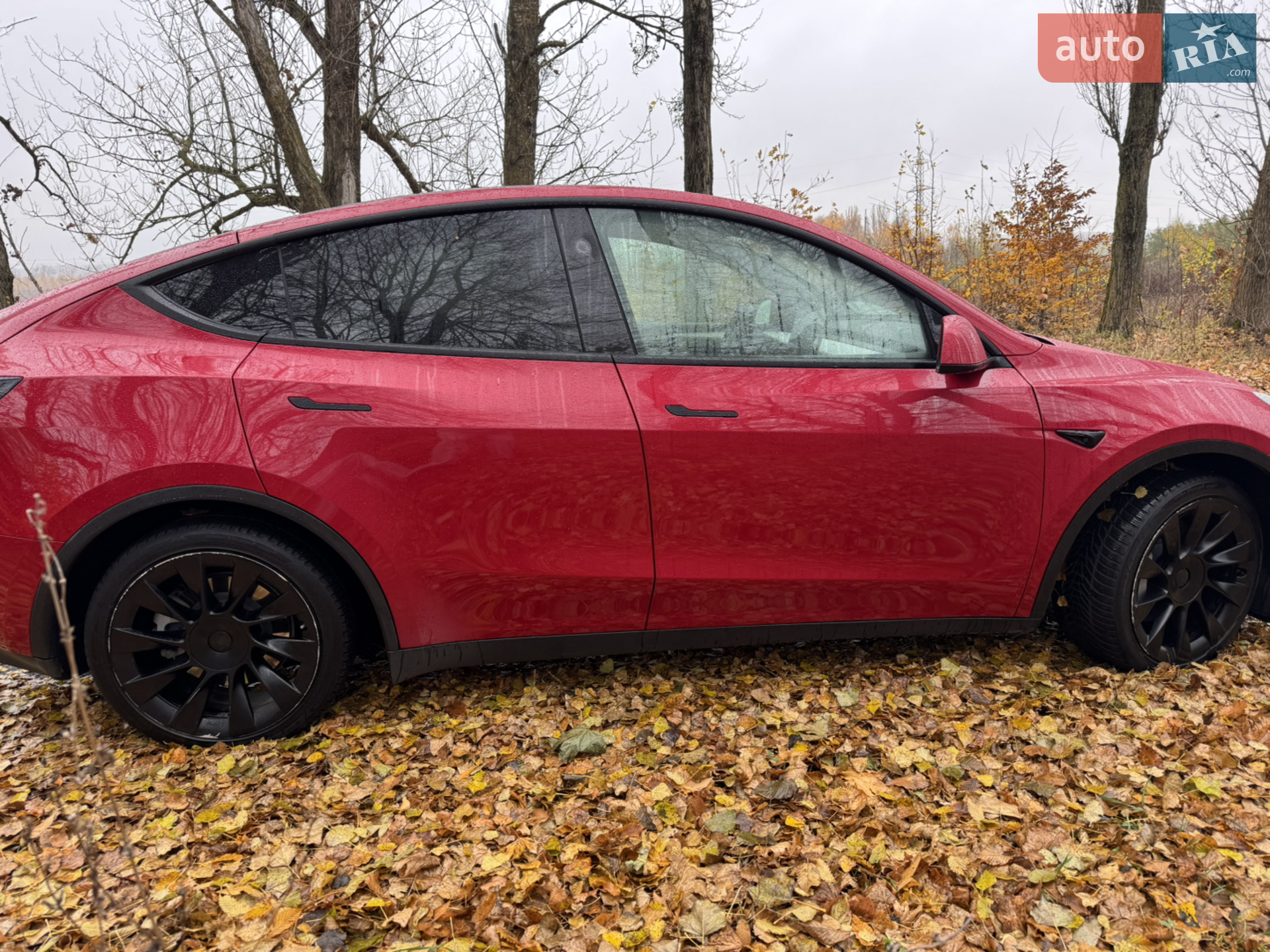 2023 Tesla Model Y - мініатюра 8