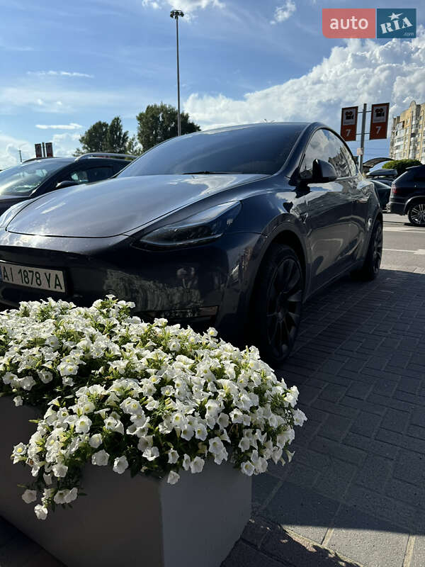 Внедорожник / Кроссовер Tesla Model Y 2021 в Белой Церкви