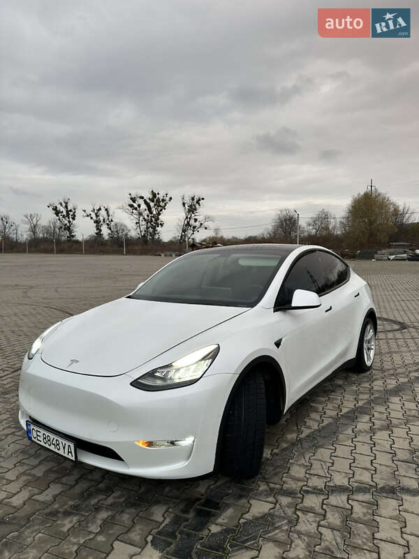 Позашляховик / Кросовер Tesla Model Y 2020 в Чернівцях фото 3 Позашляховик / Кросовер Tesla Model Y 2020 в Чернівцях