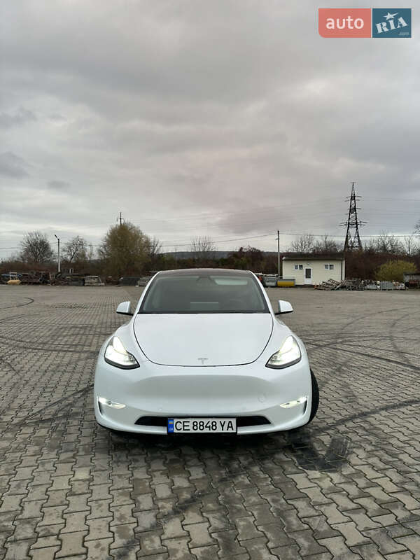 Позашляховик / Кросовер Tesla Model Y 2020 в Чернівцях фото 20 Позашляховик / Кросовер Tesla Model Y 2020 в Чернівцях