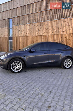 Позашляховик / Кросовер Tesla Model Y 2020 в Львові