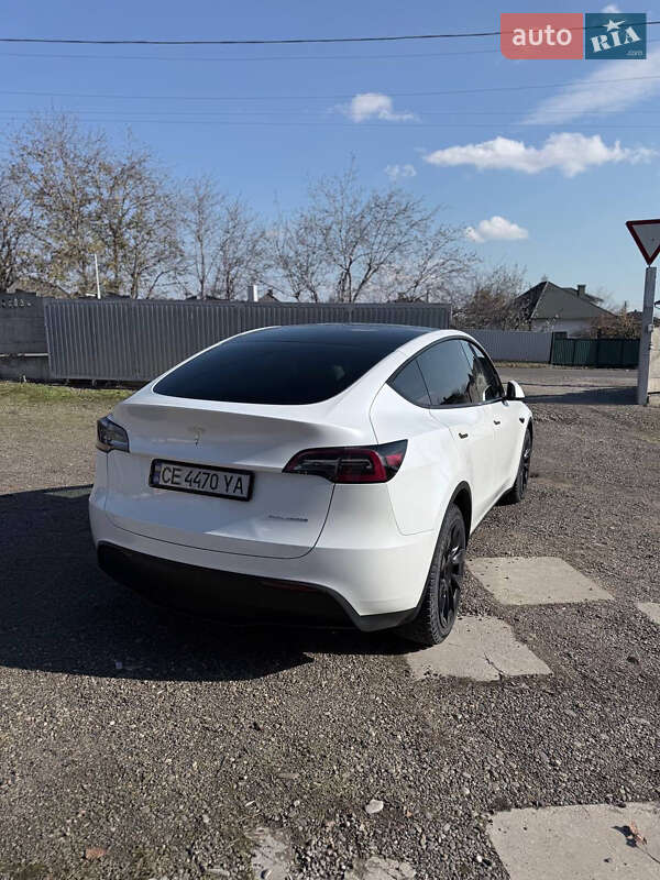 Внедорожник / Кроссовер Tesla Model Y 2023 в Черновцах