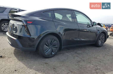 Внедорожник / Кроссовер Tesla Model Y 2025 в Черновцах