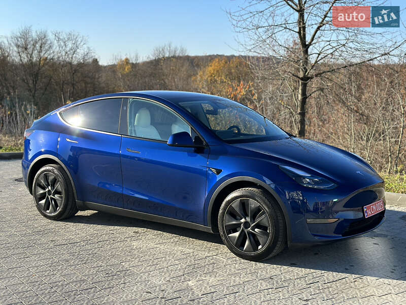 Внедорожник / Кроссовер Tesla Model Y 2024 в Львове