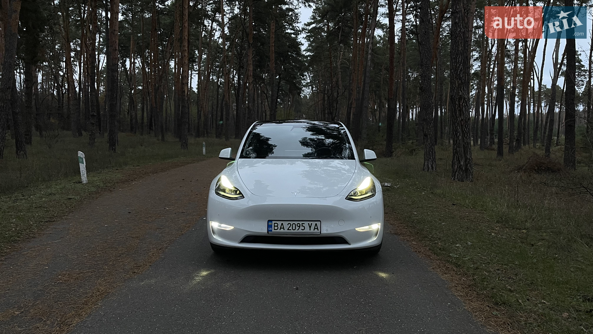 2022 Tesla Model Y - мініатюра 2