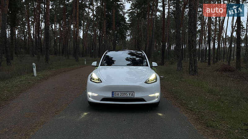 Позашляховик / Кросовер Tesla Model Y 2022 в Олександрівці