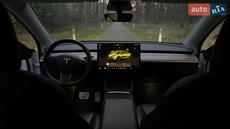 Позашляховик / Кросовер Tesla Model Y 2022 в Олександрівці