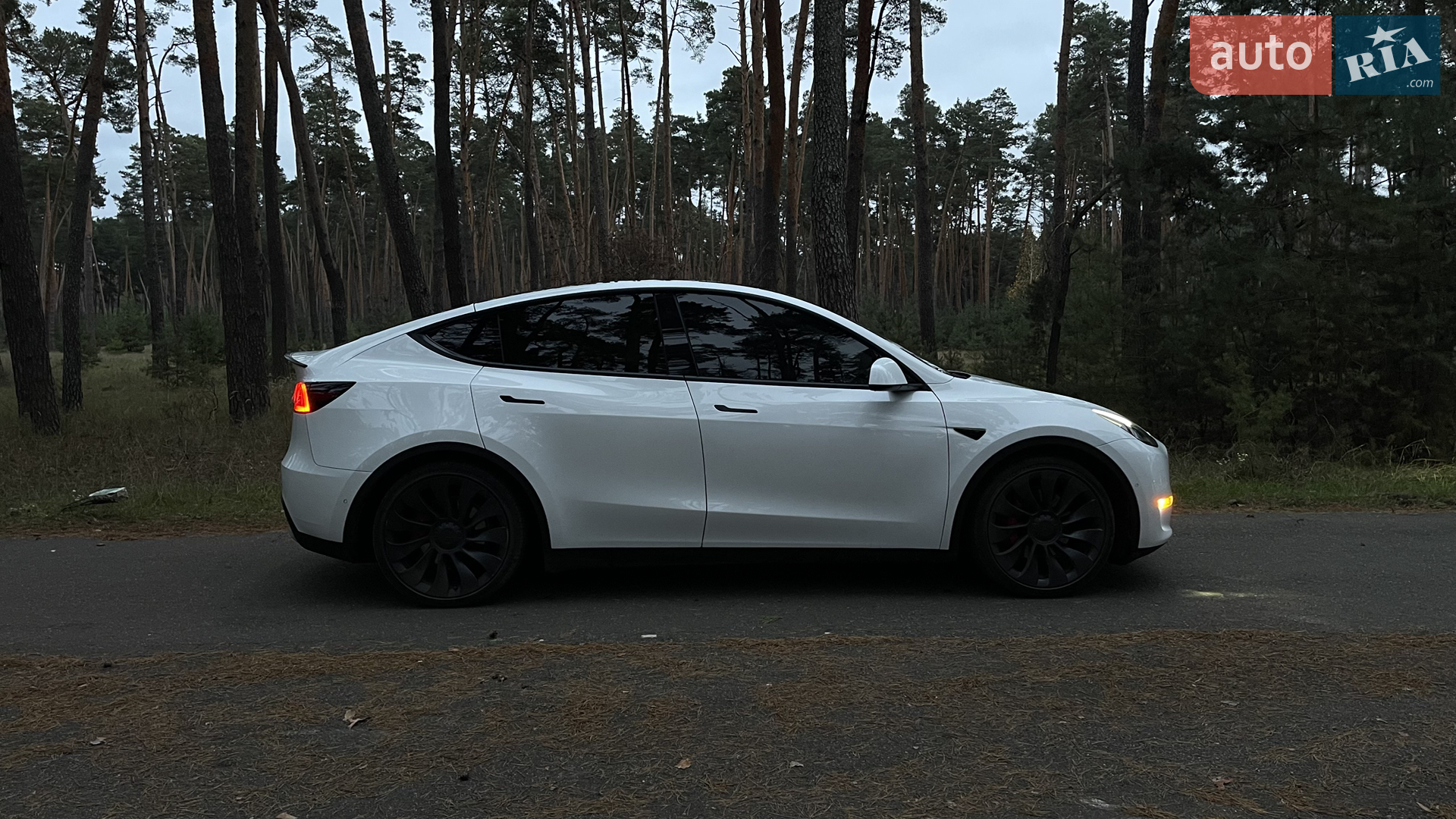 2022 Tesla Model Y - мініатюра 7