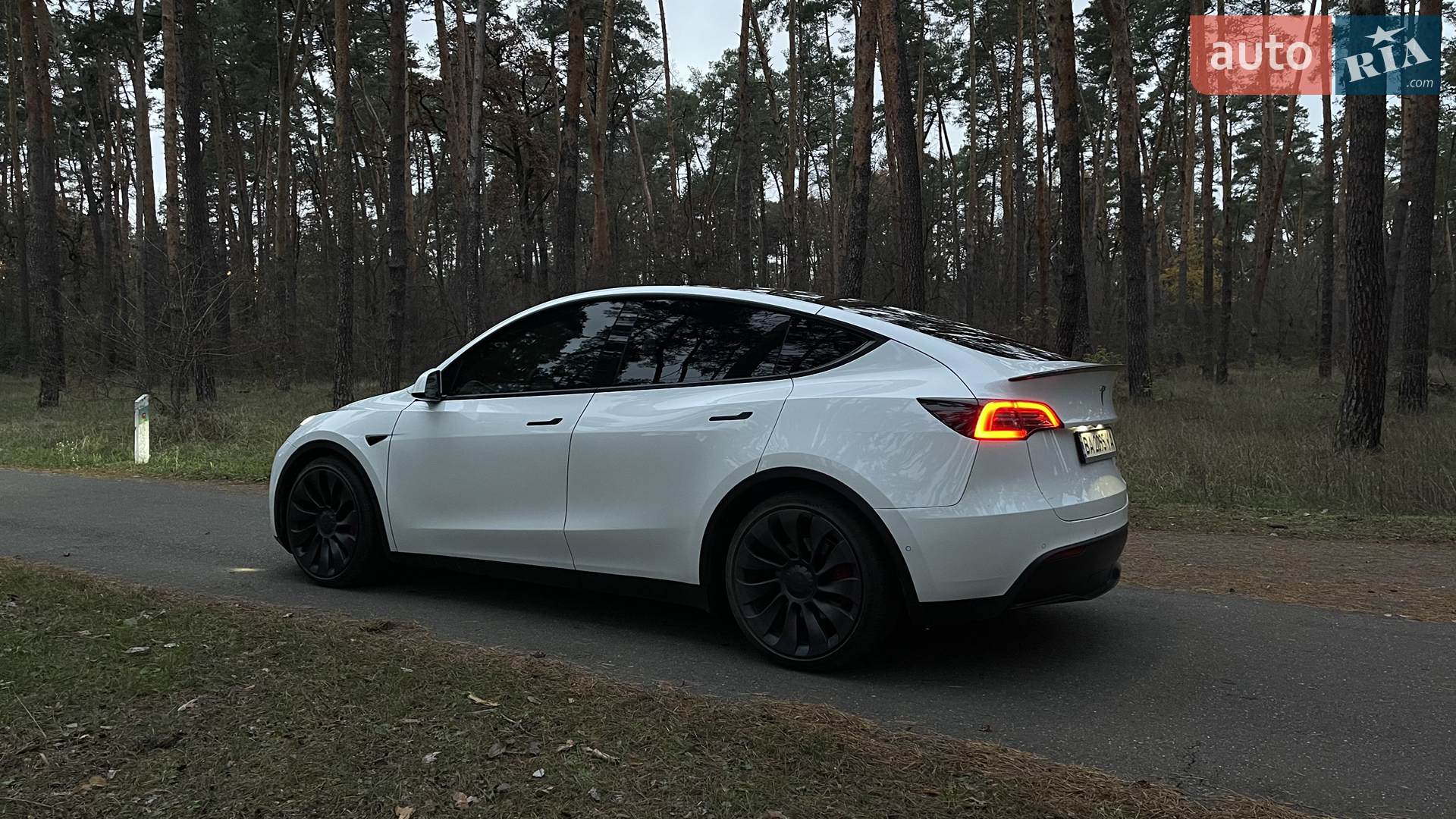 2022 Tesla Model Y - мініатюра 4