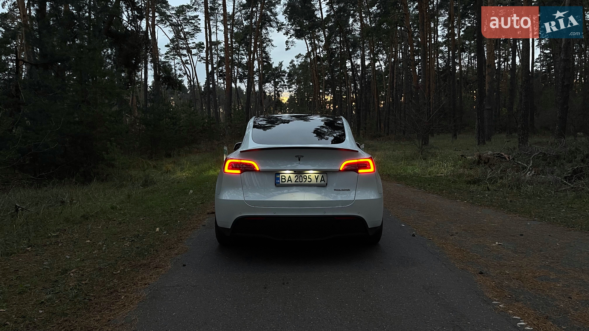2022 Tesla Model Y - мініатюра 5