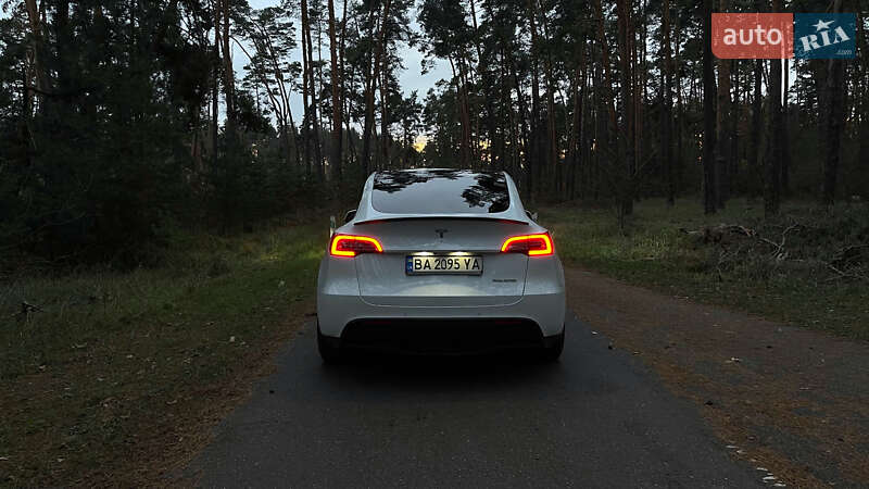 Позашляховик / Кросовер Tesla Model Y 2022 в Олександрівці