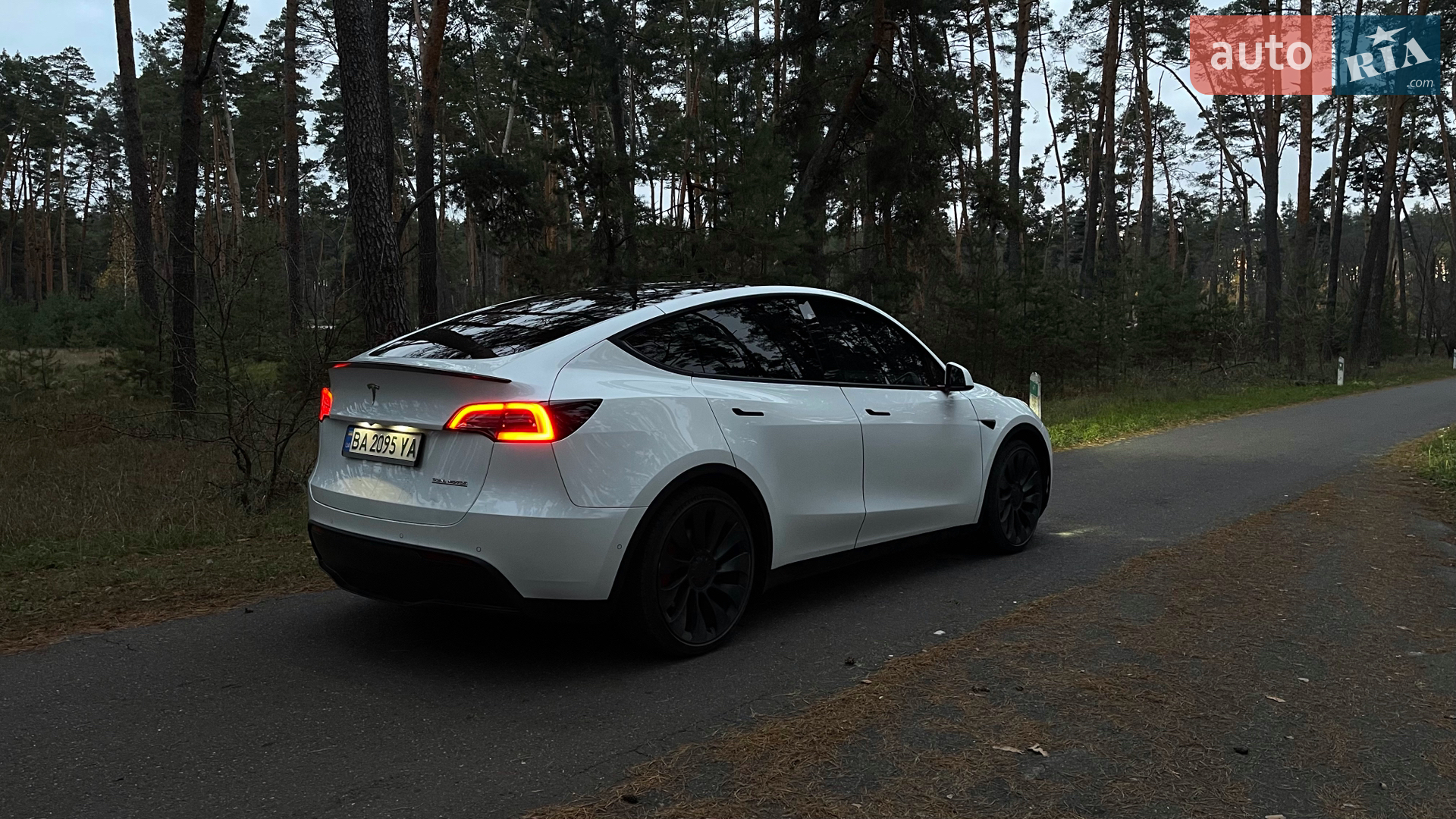 2022 Tesla Model Y - мініатюра 6