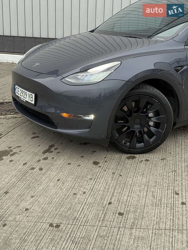 Внедорожник / Кроссовер Tesla Model Y 2023 в Черновцах