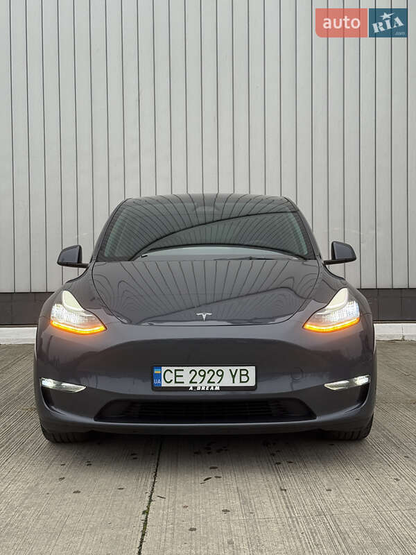 Внедорожник / Кроссовер Tesla Model Y 2023 в Черновцах
