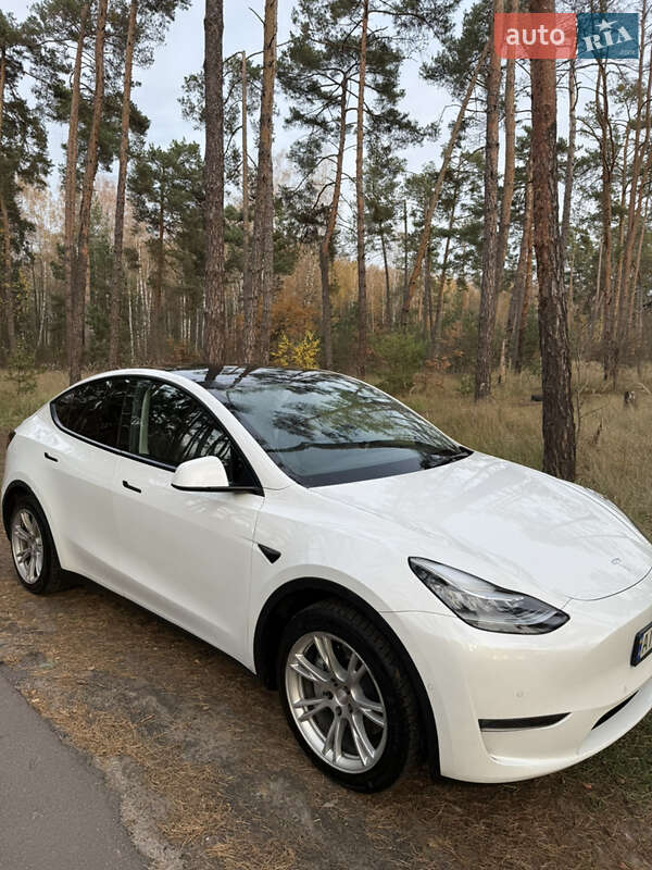 Позашляховик / Кросовер Tesla Model Y 2021 в Києві