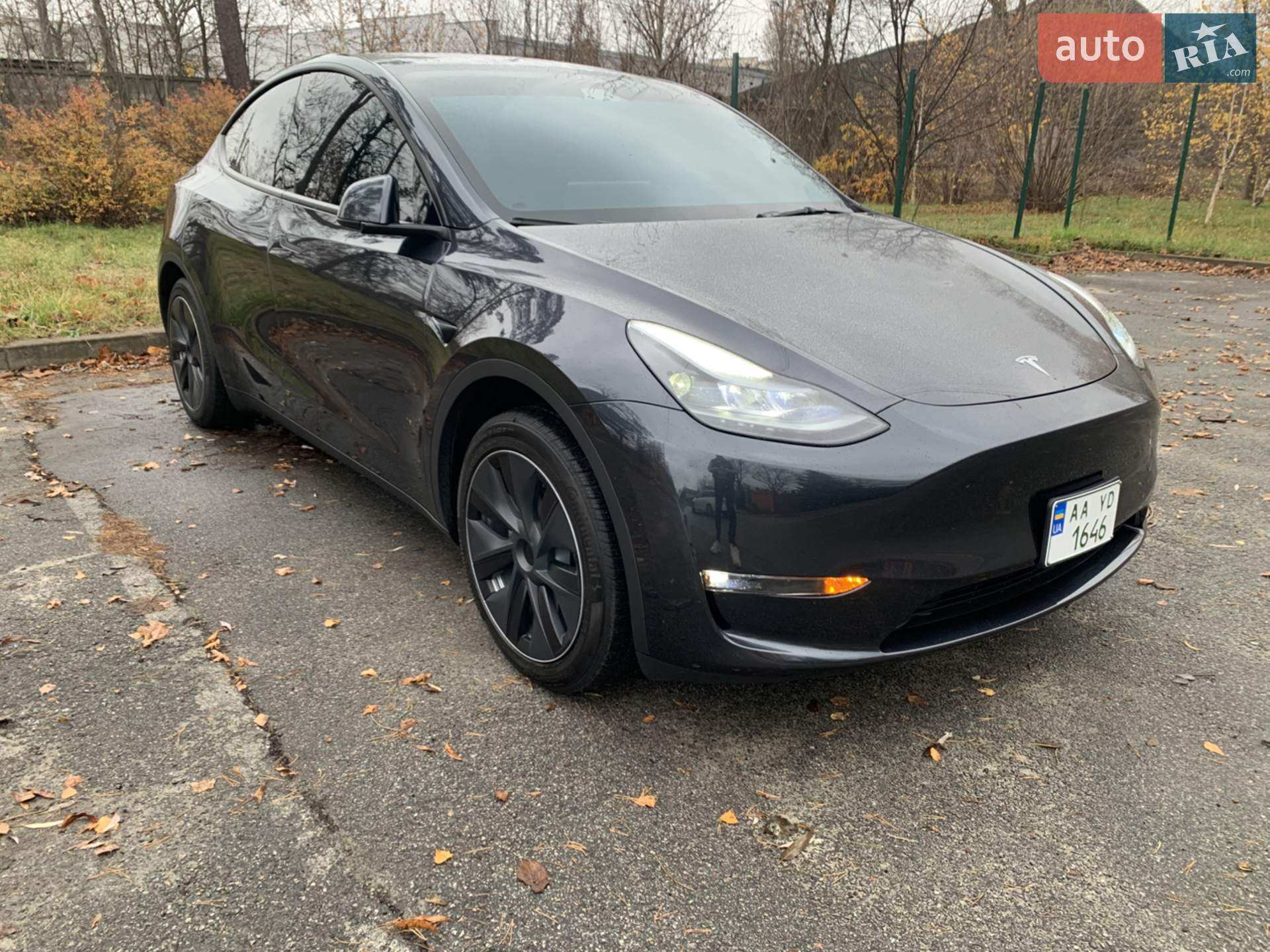 2024 Tesla Model Y - фото 1