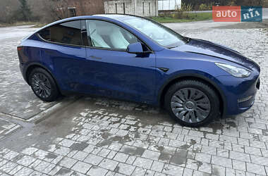 Внедорожник / Кроссовер Tesla Model Y 2024 в Копычинце