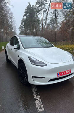 Внедорожник / Кроссовер Tesla Model Y 2023 в Василькове