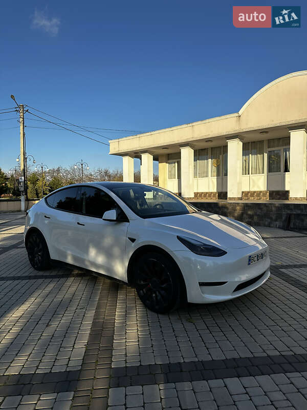 Позашляховик / Кросовер Tesla Model Y 2022 в Визирці фото 6 Позашляховик / Кросовер Tesla Model Y 2022 в Визирці