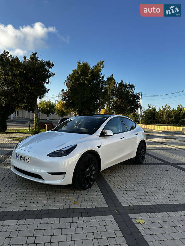 Позашляховик / Кросовер Tesla Model Y 2022 в Визирці фото 5 Позашляховик / Кросовер Tesla Model Y 2022 в Визирці